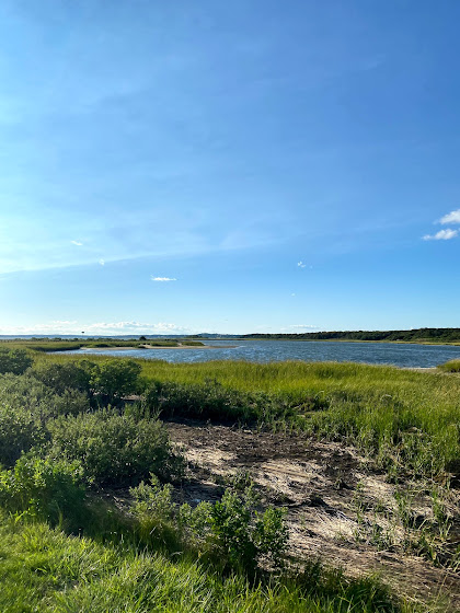 Weekend in The Hamptons: Meadow Lane Boardwalk in Southampton, New York