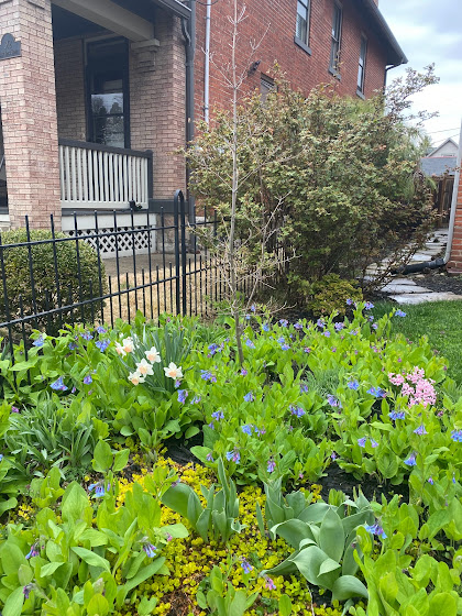 Spring flowers in German Village